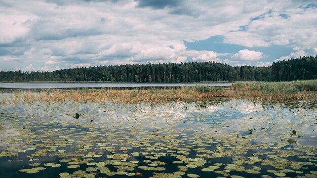 La vista panoramica del lago