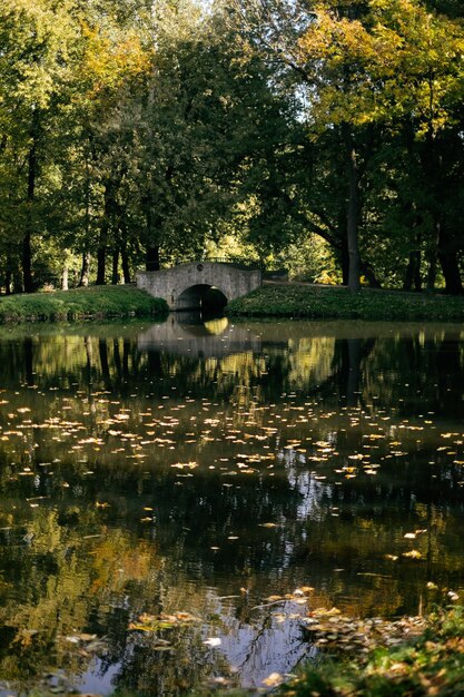 La vista panoramica del lago