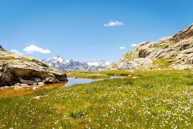 La vista panoramica dell'erba e delle montagne contro il cielo