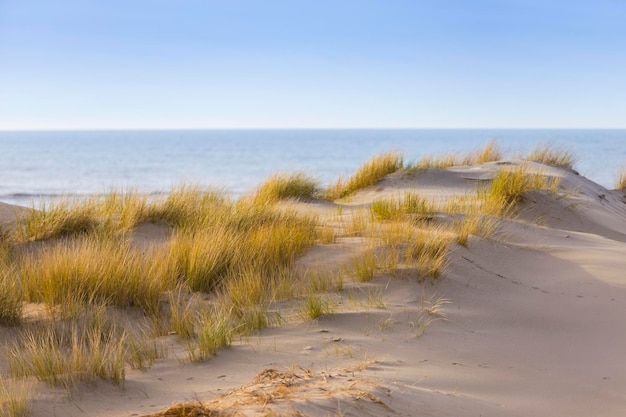 La vista panoramica della spiaggia sabbiosa