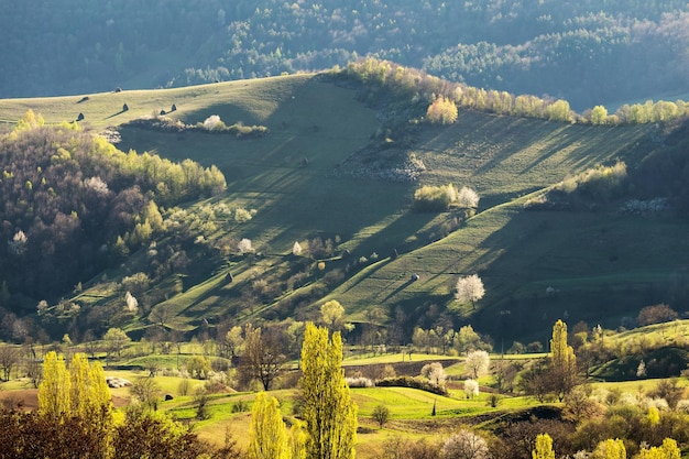 La vista panoramica delle colline