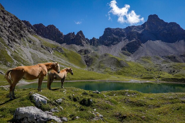 La vista panoramica delle montagne contro il cielo