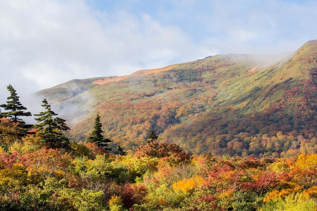 La vista panoramica delle montagne in autunno