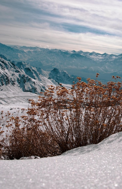 La vista panoramica delle montagne innevate contro il cielo