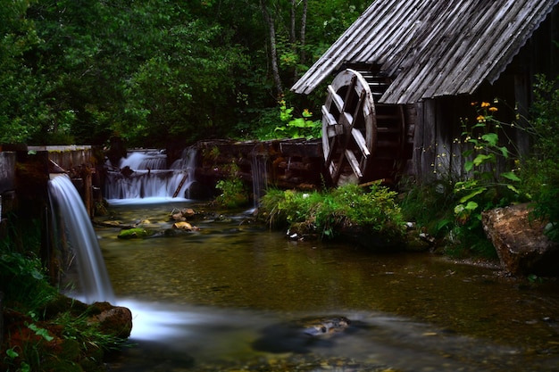 La vista panoramica di una cascata nella foresta