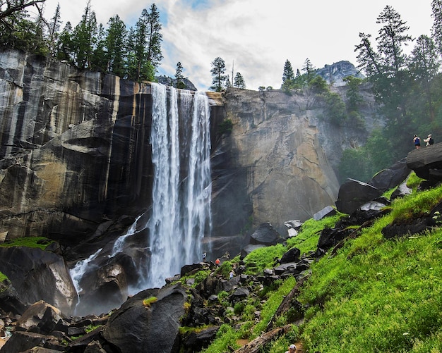 La vista panoramica di una cascata nella foresta