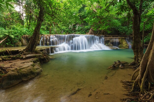 La vista panoramica di una cascata nella foresta