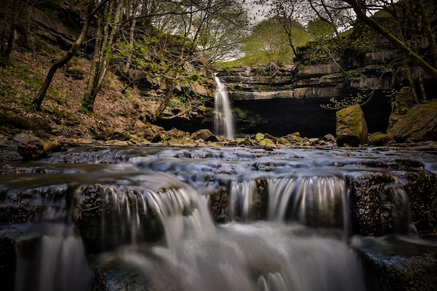La vista panoramica di una cascata nella foresta