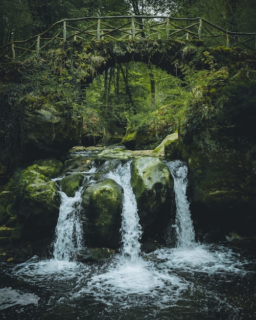 La vista panoramica di una cascata nella foresta