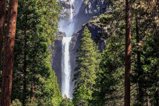La vista panoramica di una cascata nella foresta