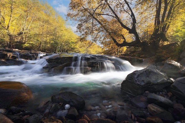 La vista panoramica di una cascata nella foresta