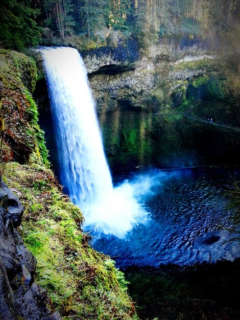 La vista panoramica di una cascata nella foresta