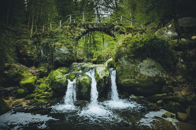La vista panoramica di una cascata nella foresta