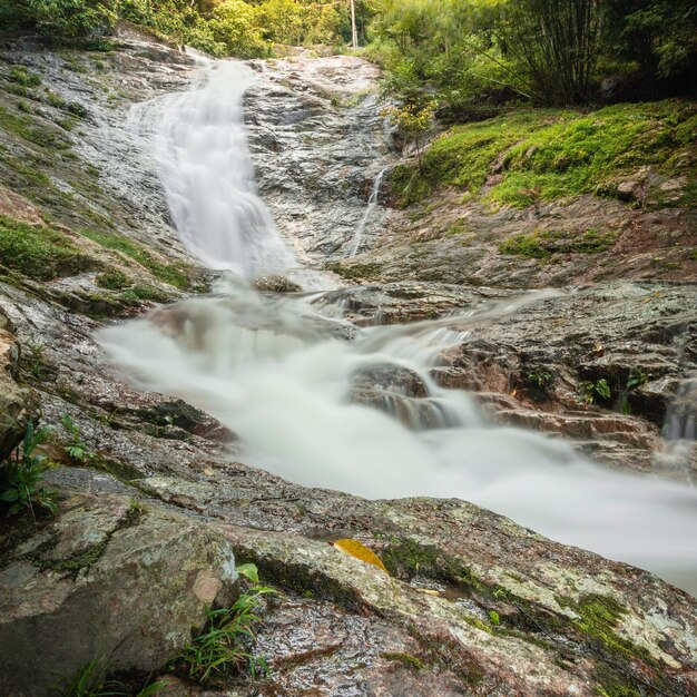 La vista panoramica di una cascata nella foresta