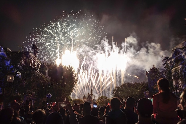 La vista posteriore della folla che guarda i fuochi d'artificio di notte