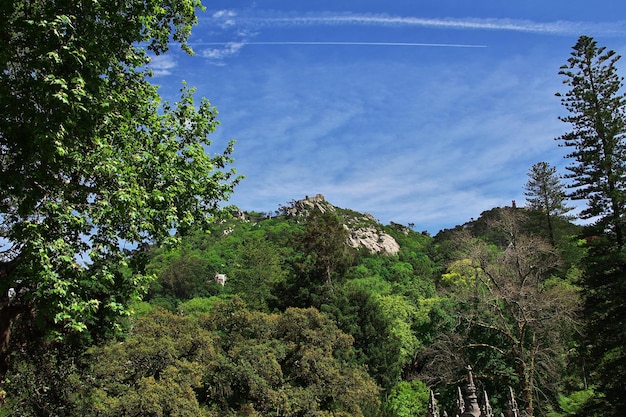 La vista sul palazzo Pena Sintra