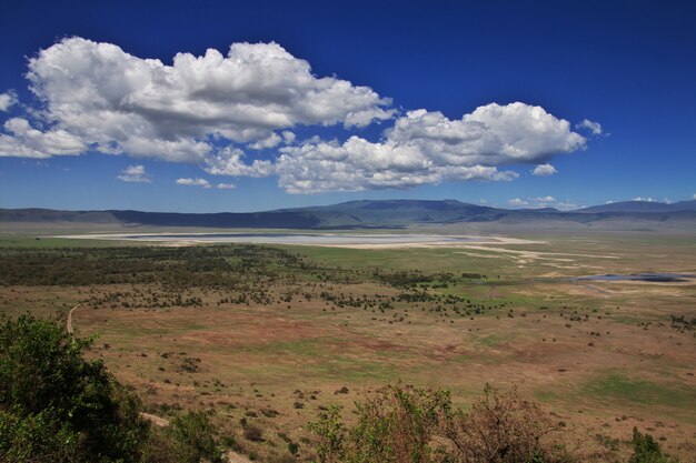 La vista sul parco nazionale di Ngorongoro, Tanzania