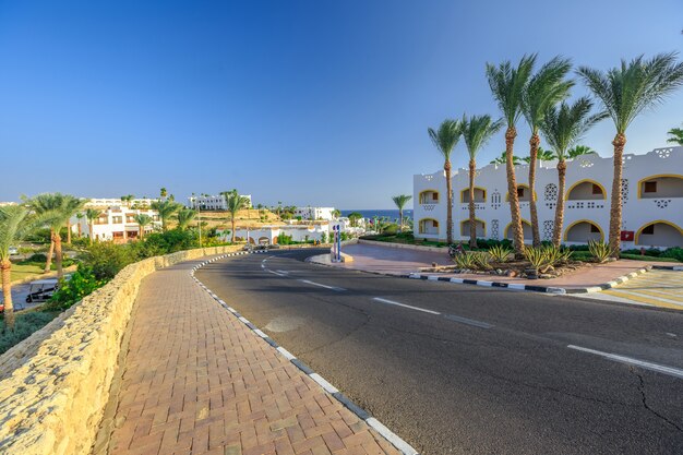 La vista sulla strada e sulle palme vicino agli hotel