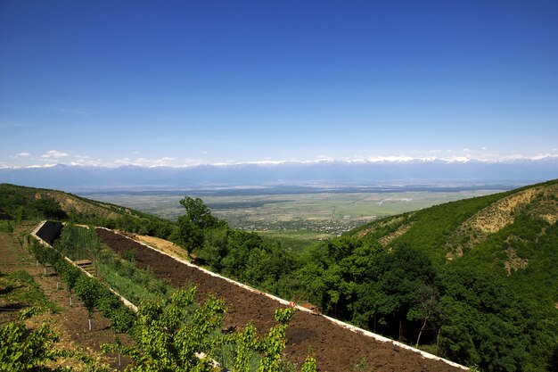 La vista sulla valle Alazani, Georgia