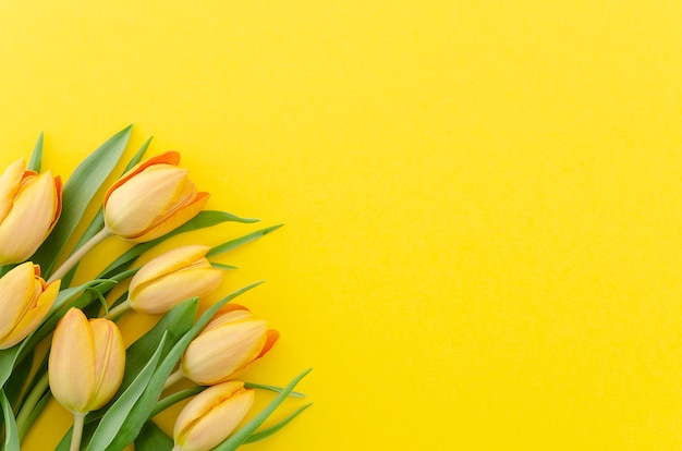 La vista superiore del fondo festivo dell&#39;estate di un mazzo del tulipano giallo fresco fiorisce