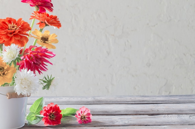 La zinnia fiorisce in secchio su fondo bianco