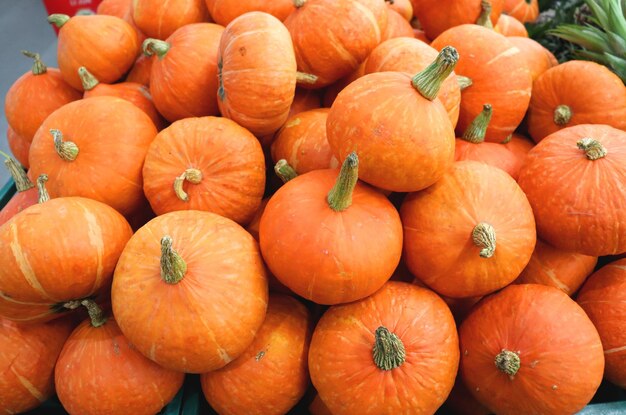 La zucca è una grossa verdura sana a testa tonda