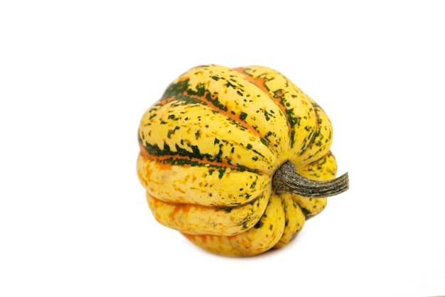 la zucca ornamentale decorativa gialla naturale