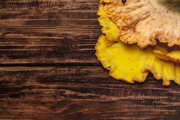 Laetiporus sulphureus, fungo di bosco selvatico