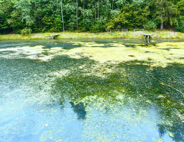 Laghetto sporco con ponticello in legno per la pesca.