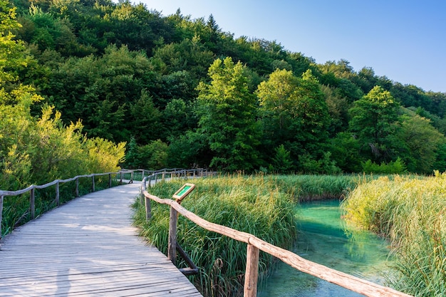 Laghi di Plitvice in Croazia bellissimo paesaggio estivo con acqua turchese
