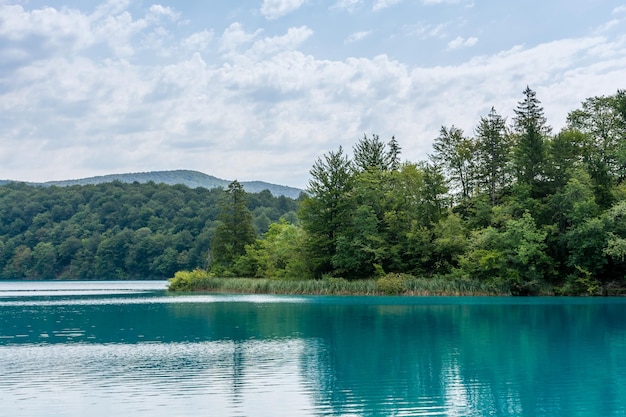 Laghi di Plitvice in Croazia bellissimo paesaggio estivo con acqua turchese