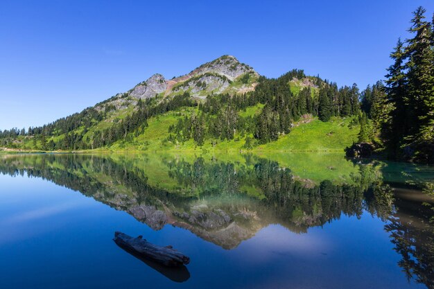 Laghi gemelli in Mt.Baker Area ricreativa,Washington, USA