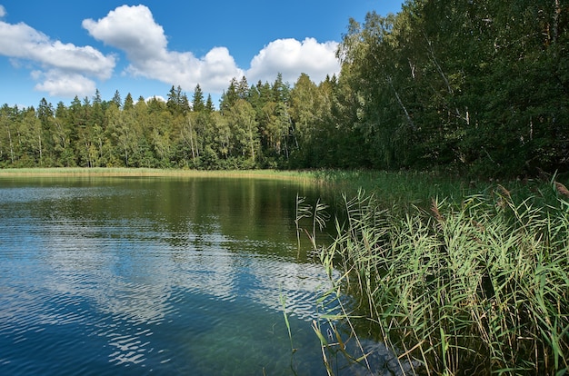 Laghi Glubelka, distretto di Myadel. Bielorussia