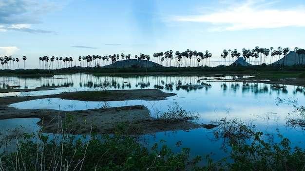 Lago al tramonto fresco