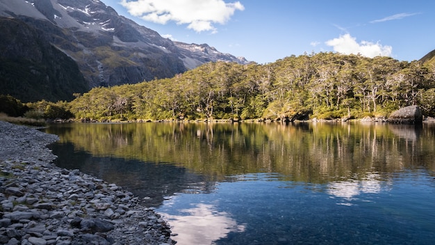 lago alpino incontaminato circondato da alberi e montagnelaghi blunelson laghi nuova zelanda