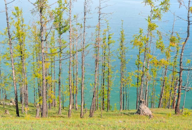 Lago Baikal in una soleggiata giornata estiva Bellezza del concetto di natura Soft focus