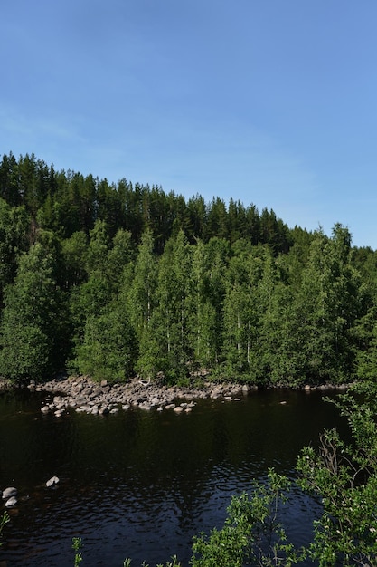 Lago blu e foresta mista verde in una soleggiata giornata estiva Girvas paleovulcano è un luogo popolare