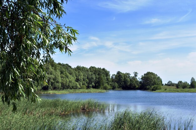 lago blu grande foresta e cielo blu