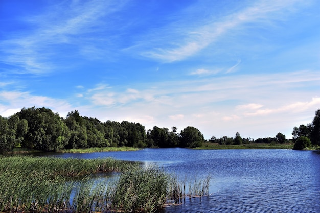 lago blu grande foresta e cielo blu