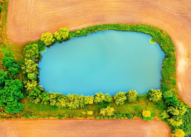 Lago blu in mezzo a un campo, un lago tra gli alberi su un campo, paesaggio estivo
