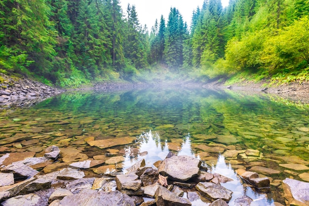 Lago blu nebbioso della foresta