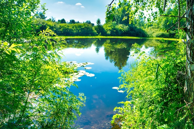 Lago blu nella foresta verde