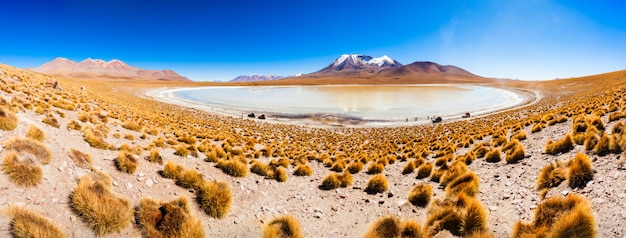 Lago, Bolivia Altiplano