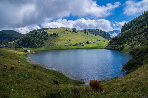 Lago bretayevaudswiss