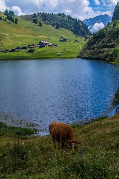 Lago bretayevaudswiss