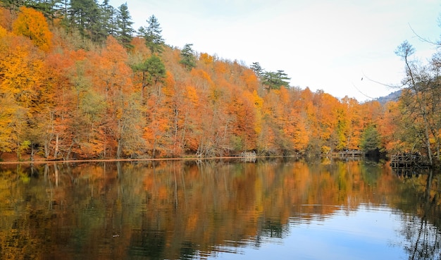 Lago Buyuk nel Parco Nazionale di Yedigoller in Turchia