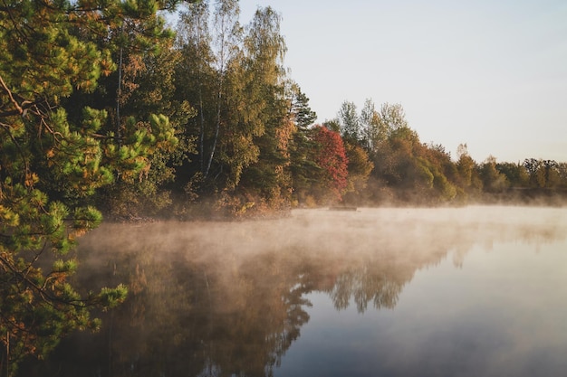 Lago calmo mattutino con nebbia e riflesso della foresta in una luminosa giornata autunnale.