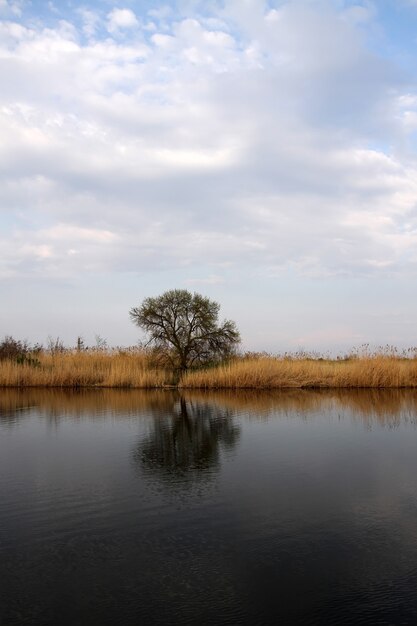 Lago calmo