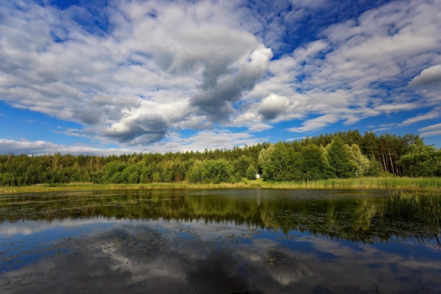 Lago circondato da foreste e nuvole di cielo azzurro chiaro specchiate nell'acqua