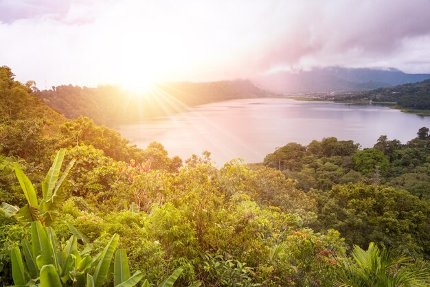 Lago circondato dalla foresta pluviale a Bali Indonesia